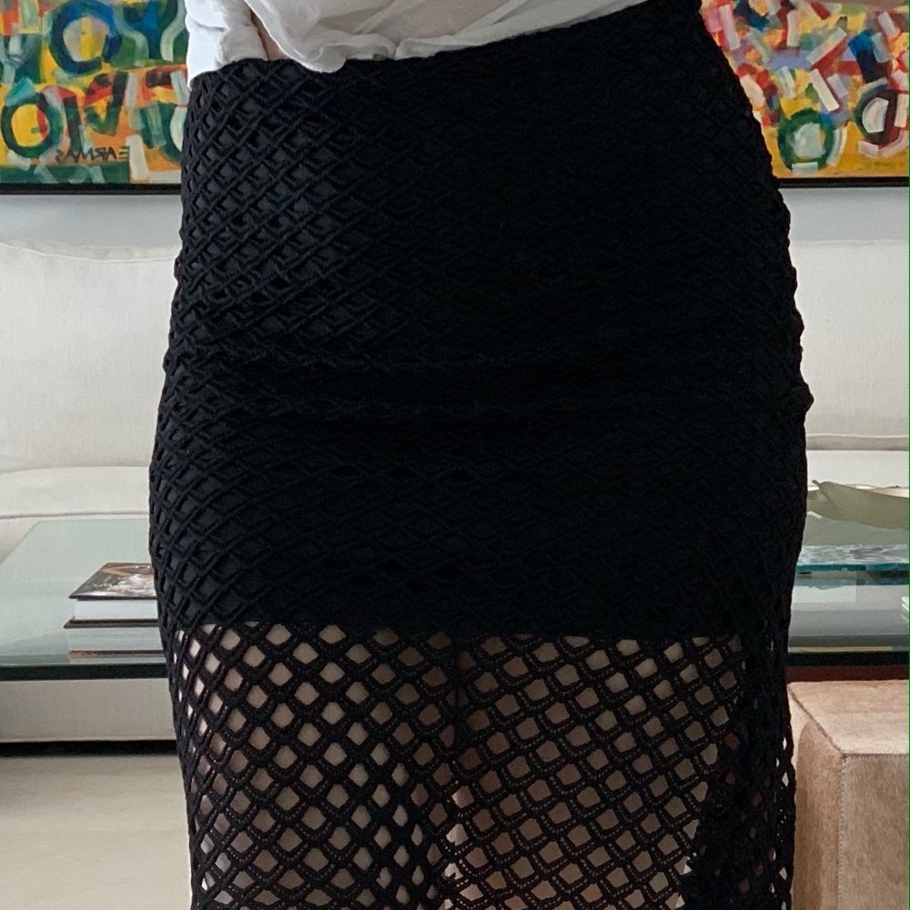 Zara Above the Knee Sheer Skirt